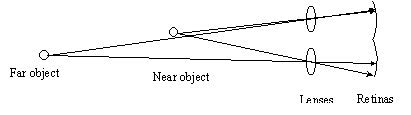 Perspective viewing