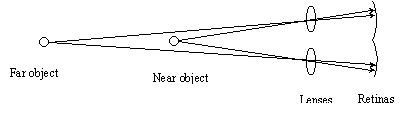 Perspective viewing
